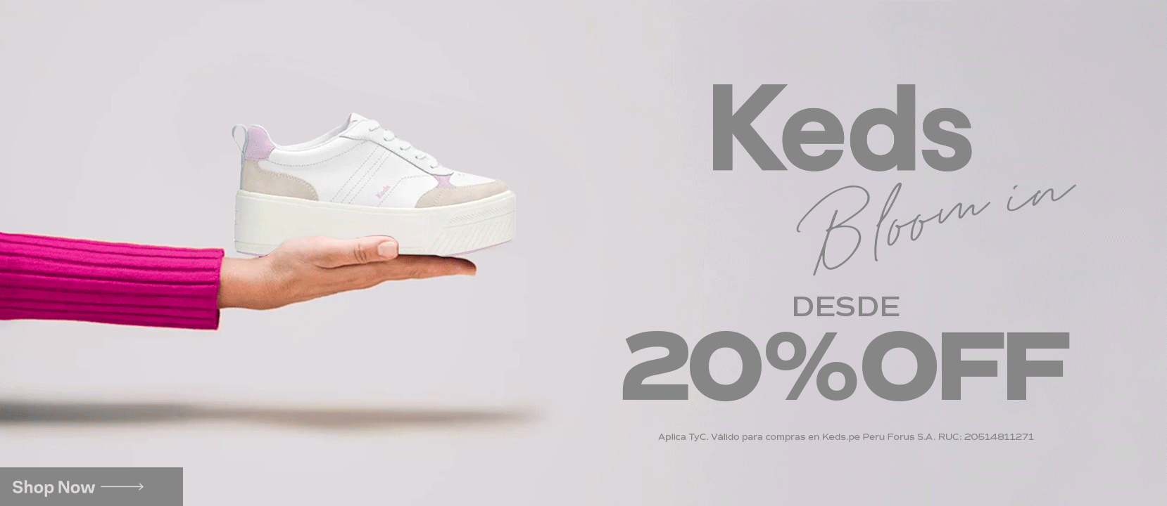 Keds Bloom In / Keds